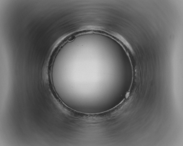 X0000115670972200911191022