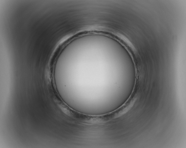 X0000115670974200911191022