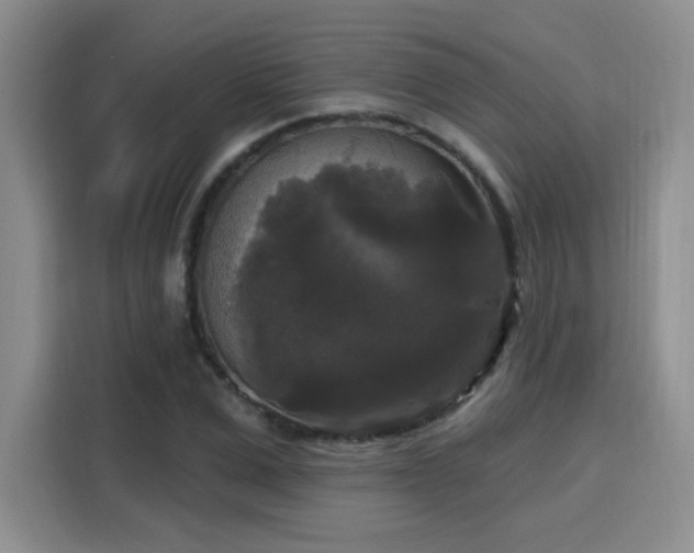 X0000115670975200911191022