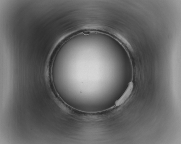 X0000115670976200911191022