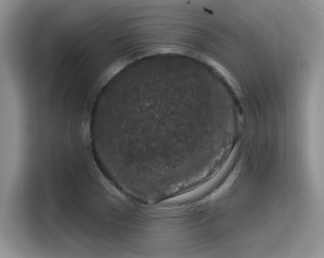 X0000115670977200911191022