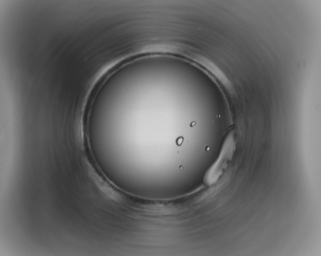 X0000115670980200911191022