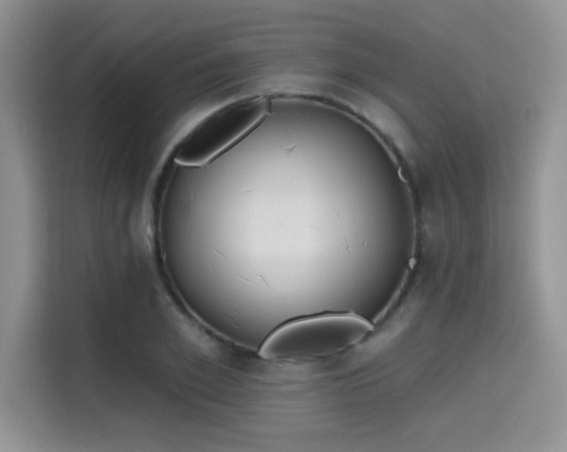 X0000115670981200911191022