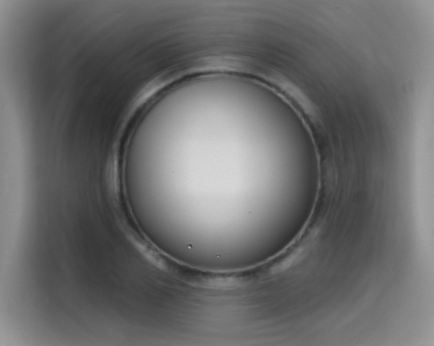 X0000115670982200911191022