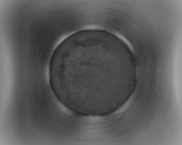 X0000115670983200911191022