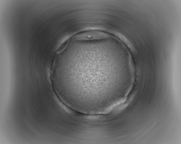X0000115670985200911191022