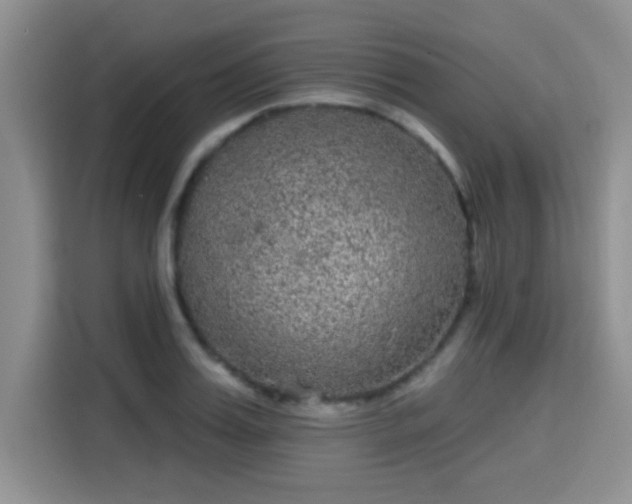 X0000115670987200911191022