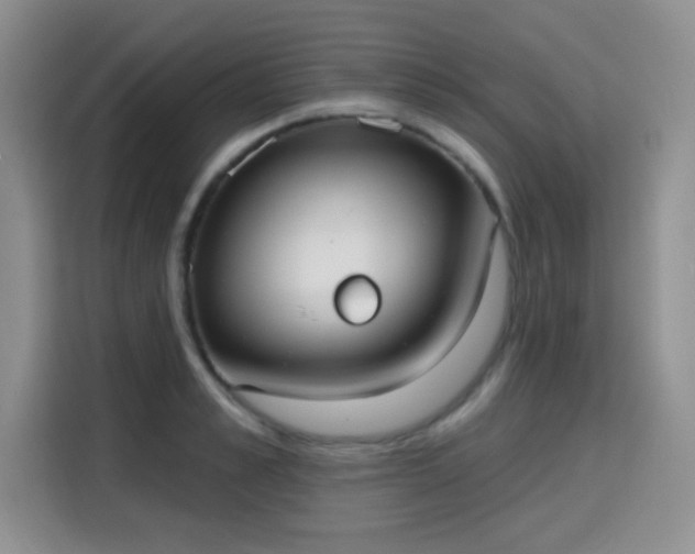 X0000115670989200911191022