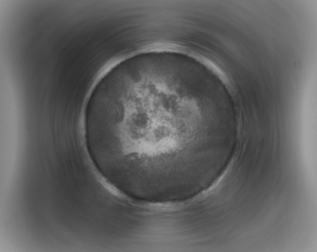 X0000115670990200911191022
