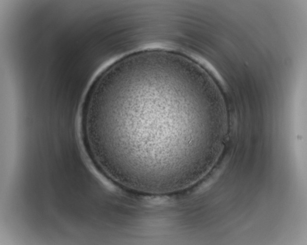 X0000115670991200911191022