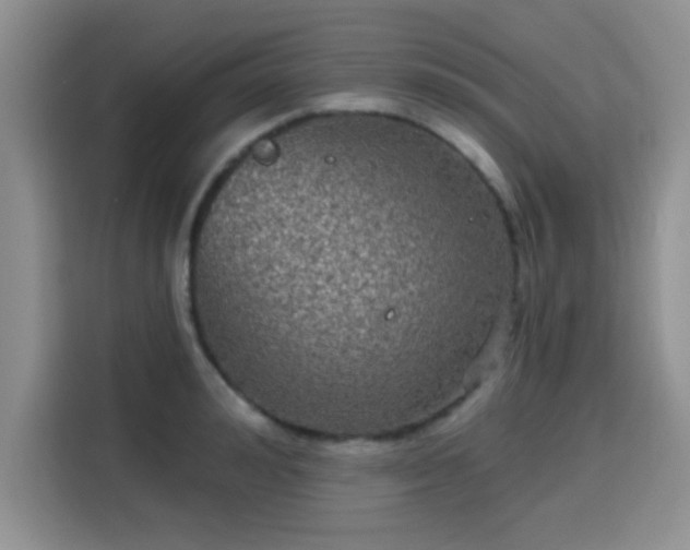 X0000115670992200911191022
