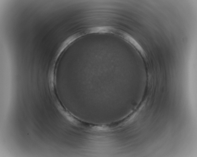 X0000115670994200911191022