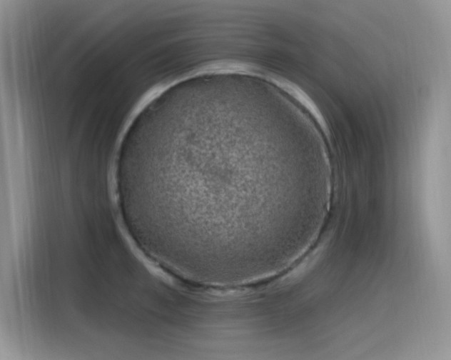 X0000115670997200911191022