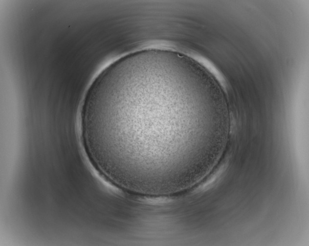 X0000115670999200911191022
