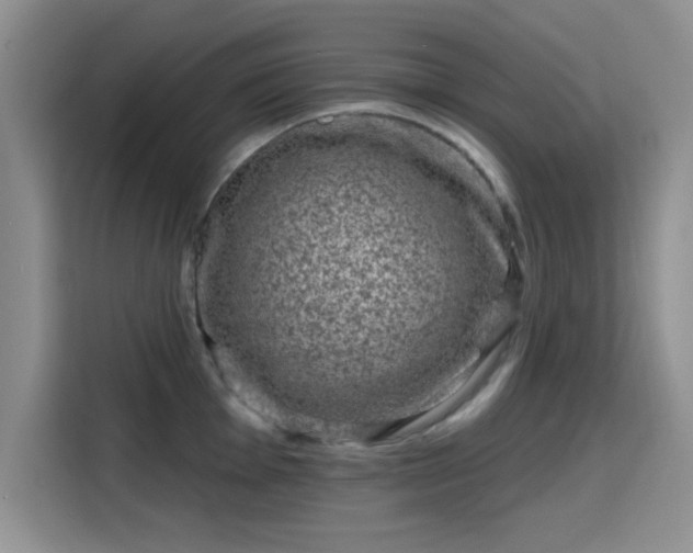X0000115671001200911191022