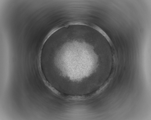 X0000115671002200911191022