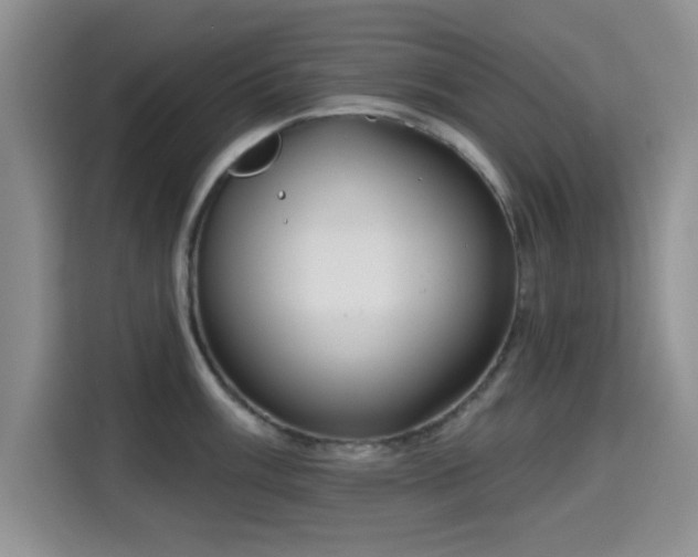 X0000115671003200911191022