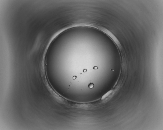 X0000115671004200911191022