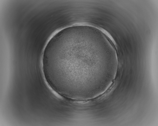X0000115671005200911191022