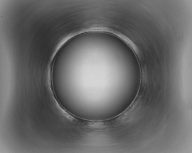 X0000115671006200911191022