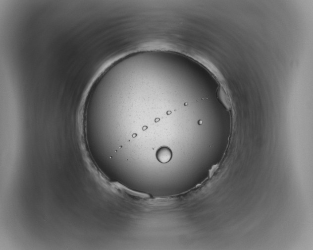 X0000115671008200911191021