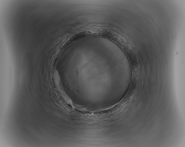 X0000115671009200911191021