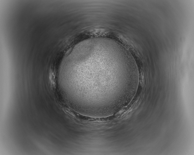 X0000115671010200911191021