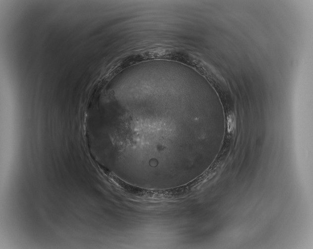 X0000115671011200911191021