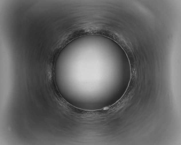 X0000115671012200911191021