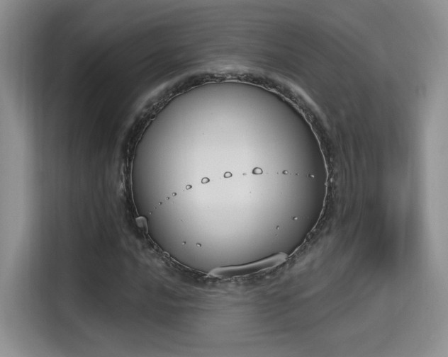 X0000115671016200911191021
