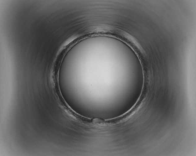 X0000115671018200911191021