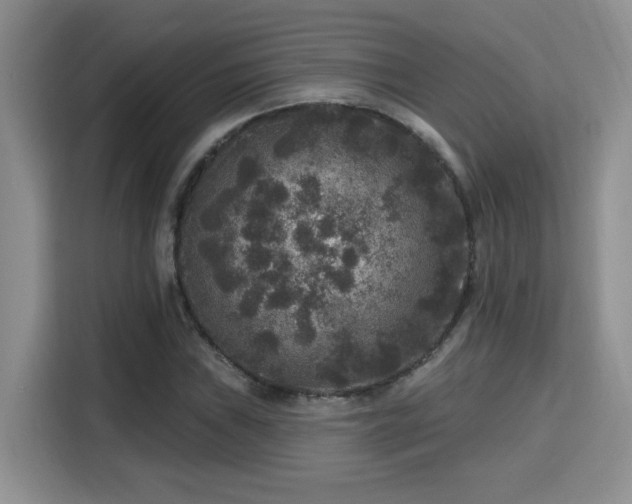 X0000115671019200911191021