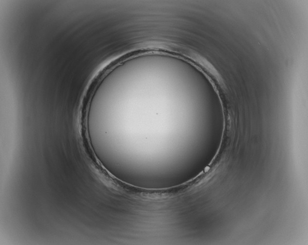 X0000115671020200911191021