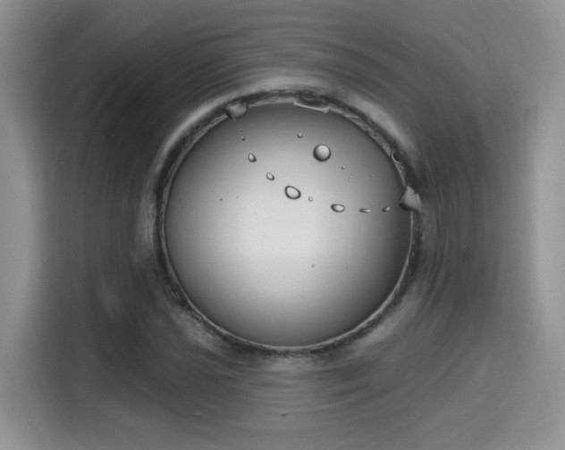 X0000115671021200911191021