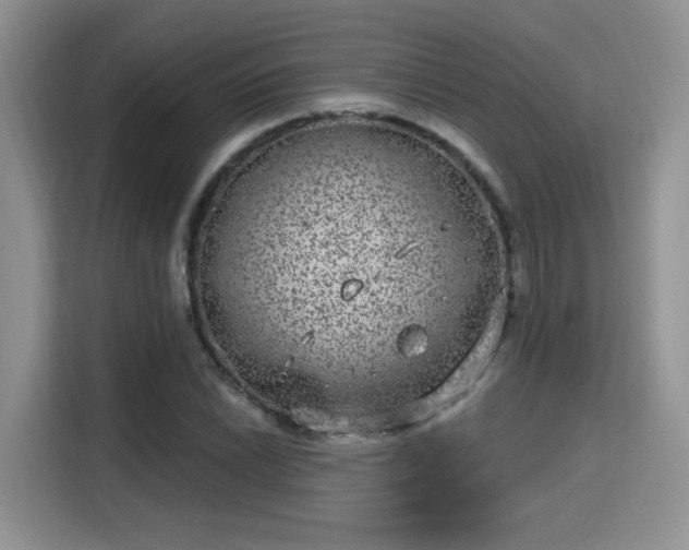 X0000115671022200911191021