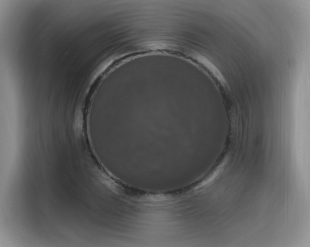 X0000115671023200911191021
