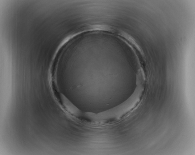 X0000115671024200911191021