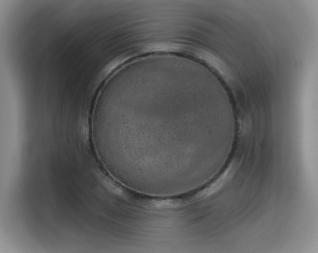 X0000115671025200911191021