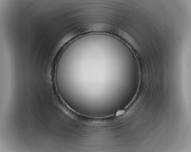 X0000115671026200911191021