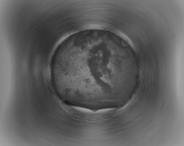 X0000115671027200911191021