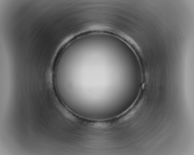 X0000115671029200911191021