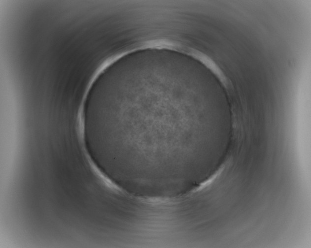 X0000115671032200911191021