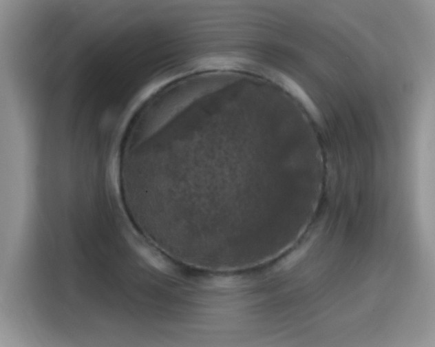 X0000115671035200911191021