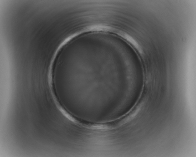 X0000115671037200911191021