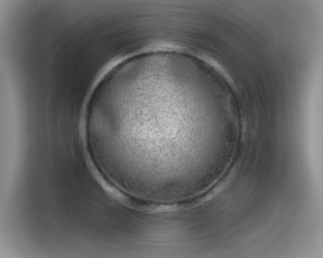 X0000115671038200911191021