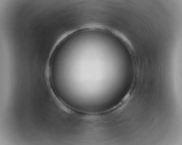 X0000115671040200911191021