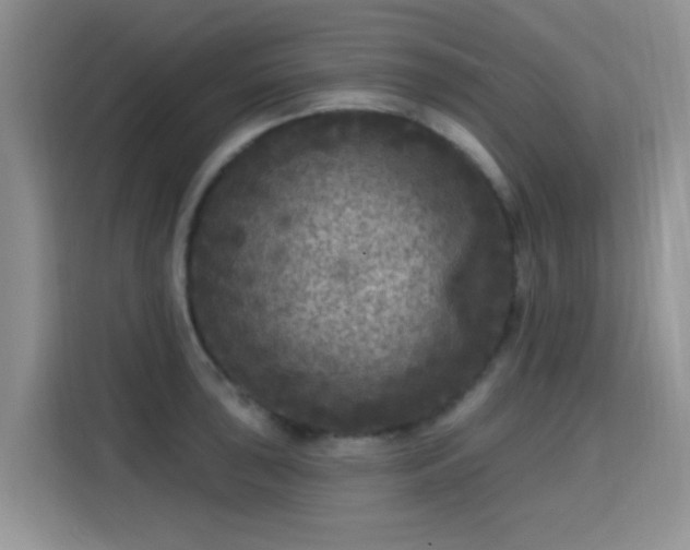 X0000115671043200911191021