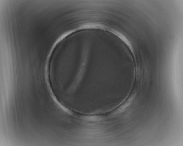 X0000115671045200911191021