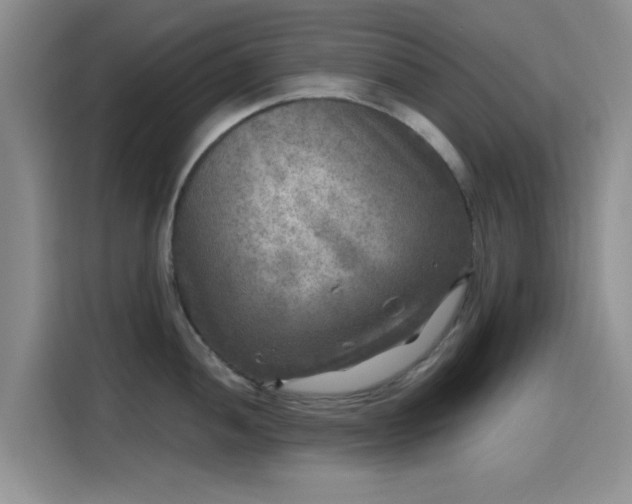 X0000115671052200911191021