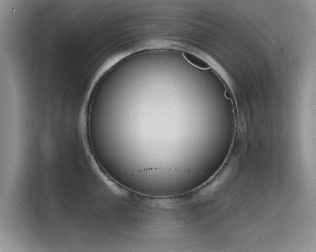 X0000115671053200911191021